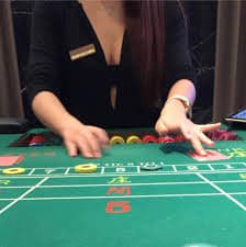 ac1364 Qué es Bingo y por qué juega cada vez más gente desde México